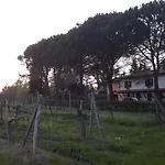 Artenatura Beb Terranuova Bracciolini