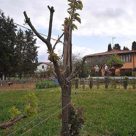 Bed & Breakfast Artenatura Beb