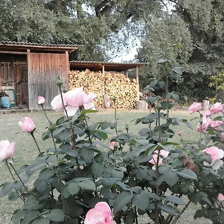 Artenatura Beb Bed and Breakfast Terranuova Bracciolini
