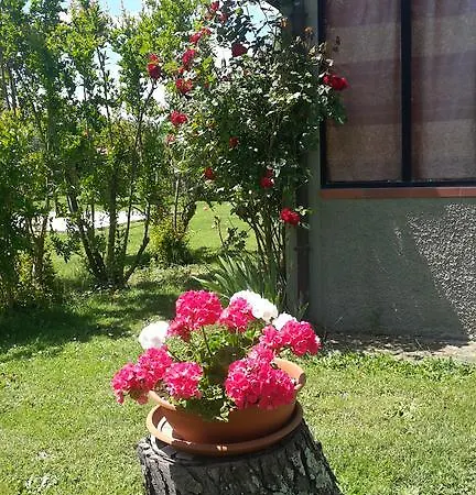 Bed and Breakfast Artenatura Beb 4*